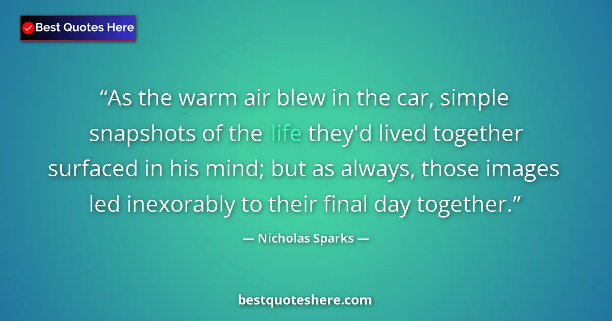 Quote by Nicholas Sparks: As the warm air blew in the car, simple snapshots of the life they'd lived together surfaced in his ...