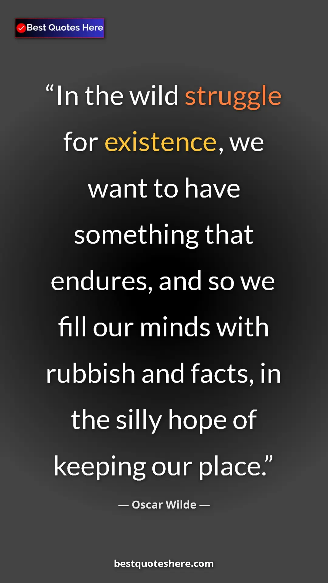 Oscar Wilde Quote Card: "In the wild struggle for existence, we want to have..." Pinterest quote poster by Oscar Wilde: "In the wild struggle for existence, we want to have..."
