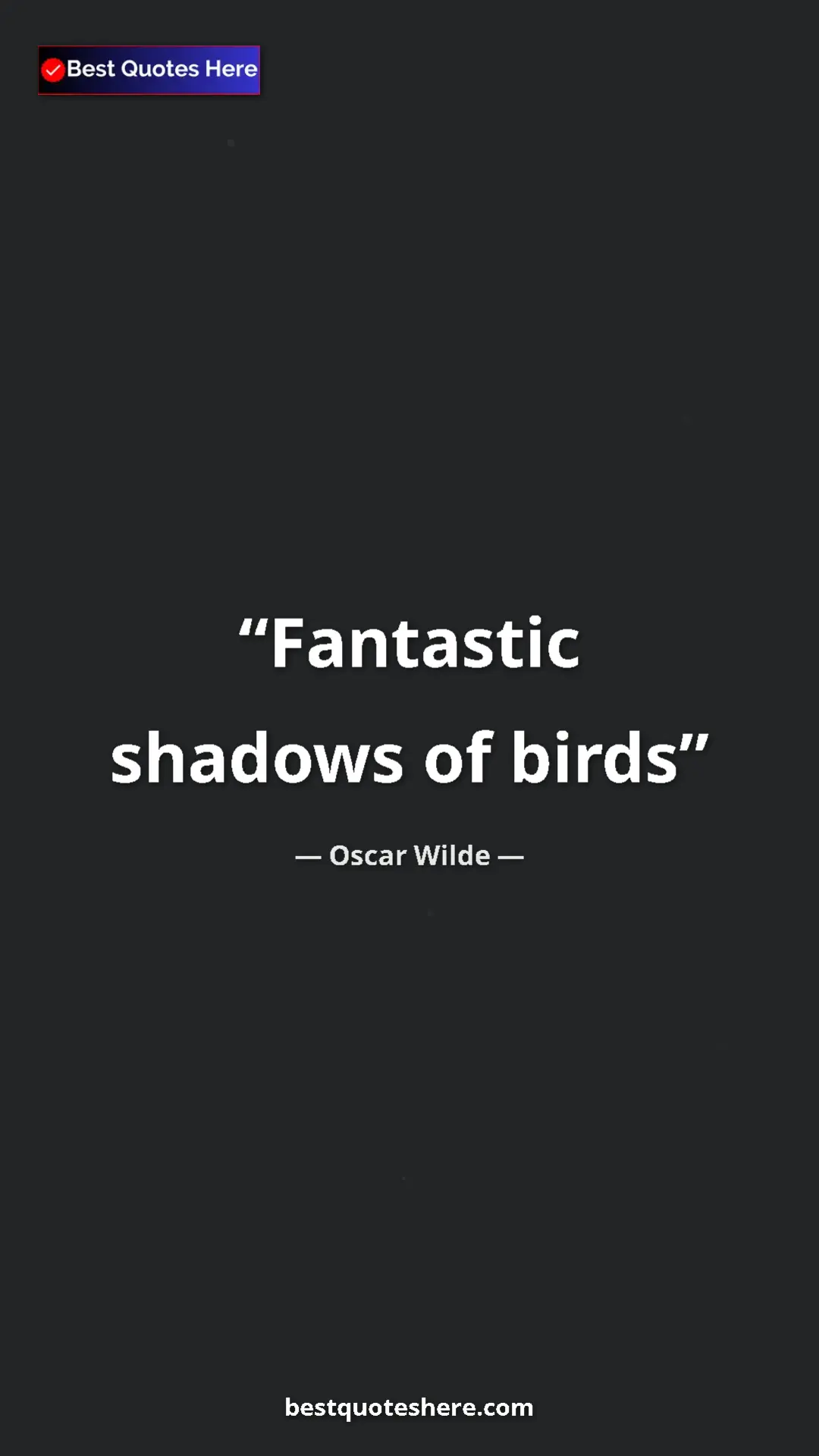 Pinterest quote poster by Oscar Wilde: "Fantastic shadows of birds"