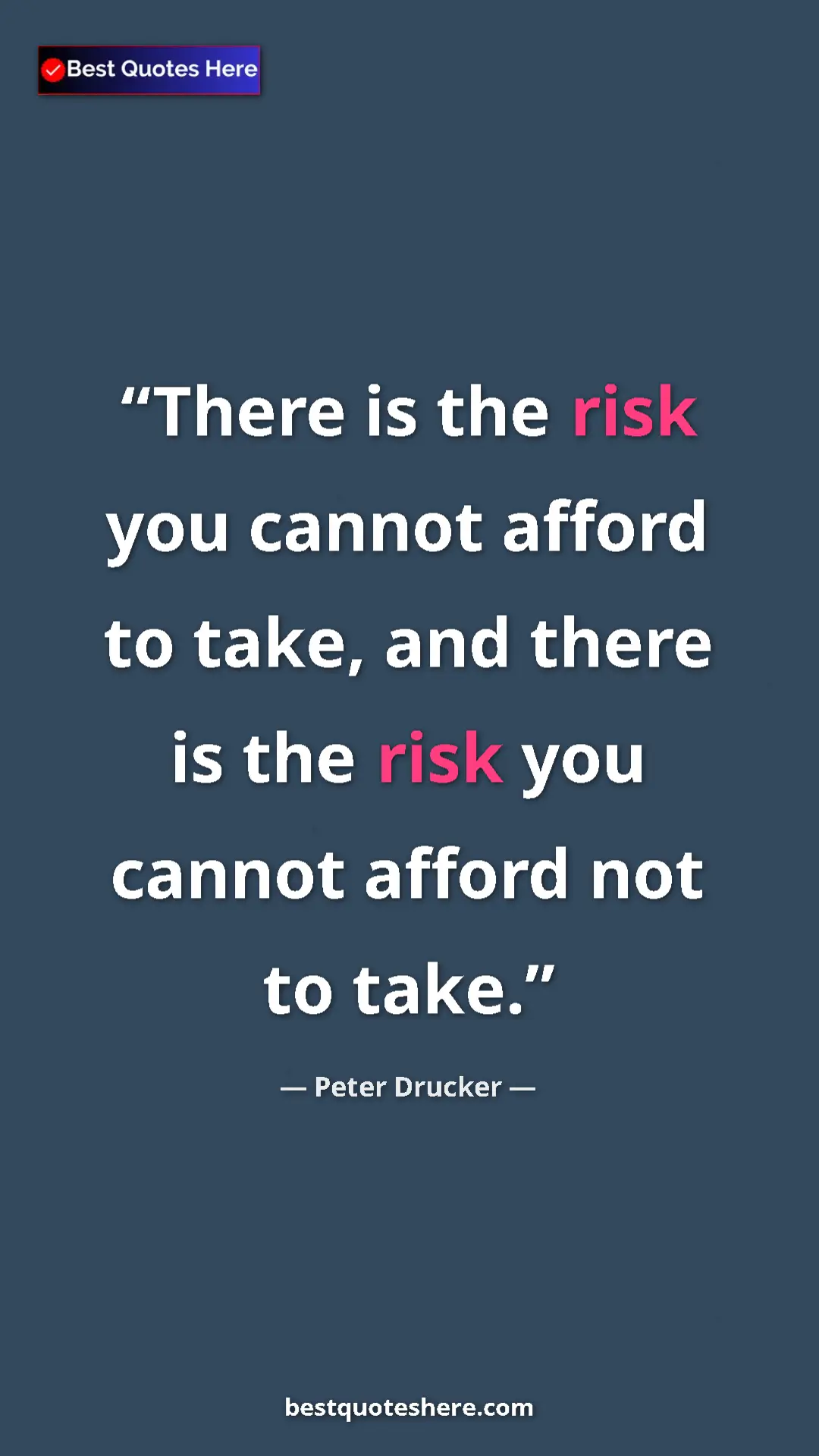 Pinterest quote poster by Peter Drucker: "There is the risk you cannot afford to take, and there is..."