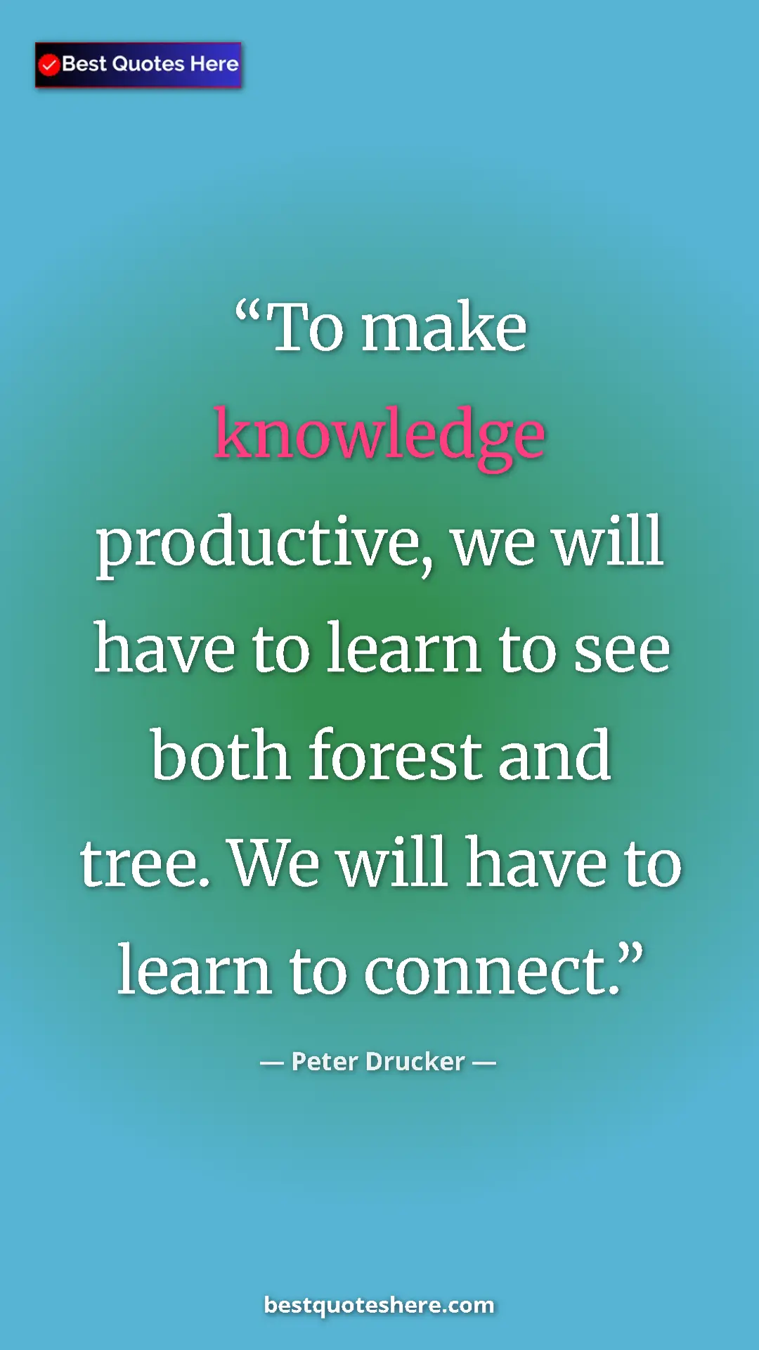 Pinterest quote poster by Peter Drucker: "To make knowledge productive, we will have to learn to see..."