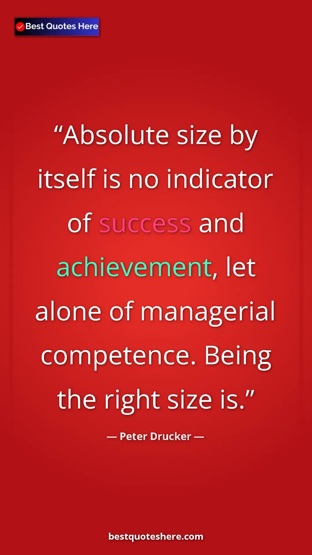 Pinterest quote poster by Peter Drucker: "Absolute size by itself is no indicator of success and..."