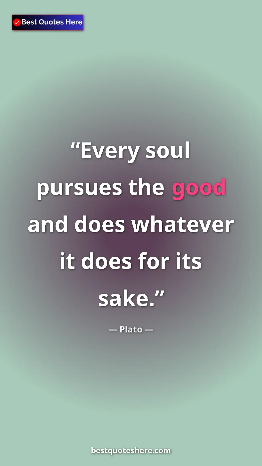 Pinterest quote poster by Plato: "Every soul pursues the good and does whatever it does for..."