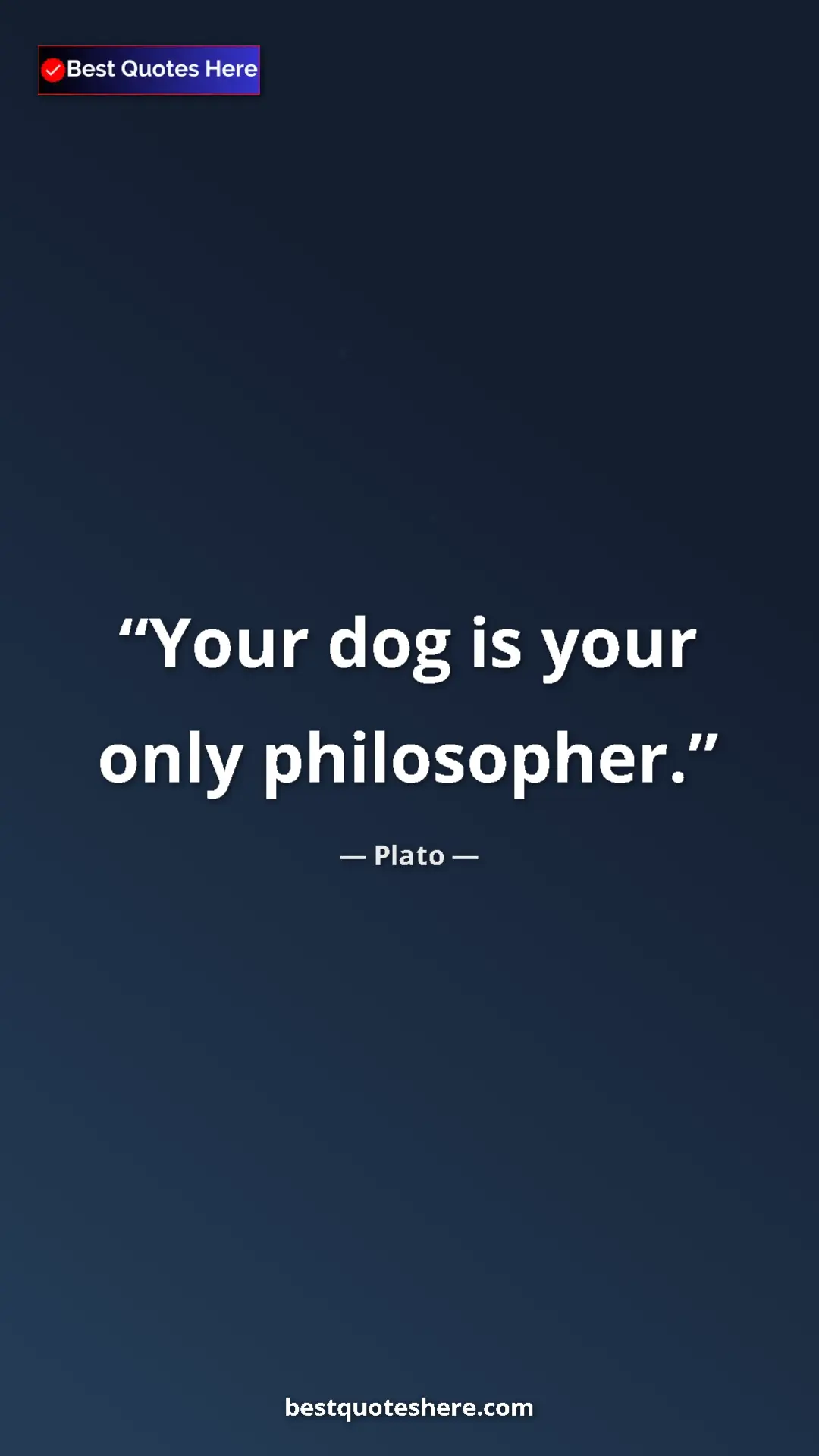 Plato Quote Card: "Your dog is your only philosopher." Pinterest quote poster by Plato: "Your dog is your only philosopher."