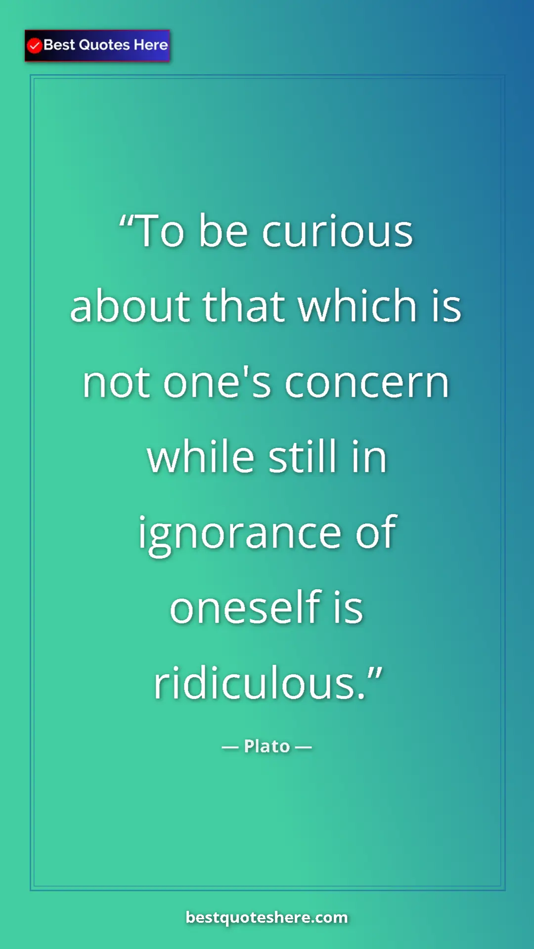 Pinterest quote poster by Plato: "To be curious about that which is not one's concern while..."