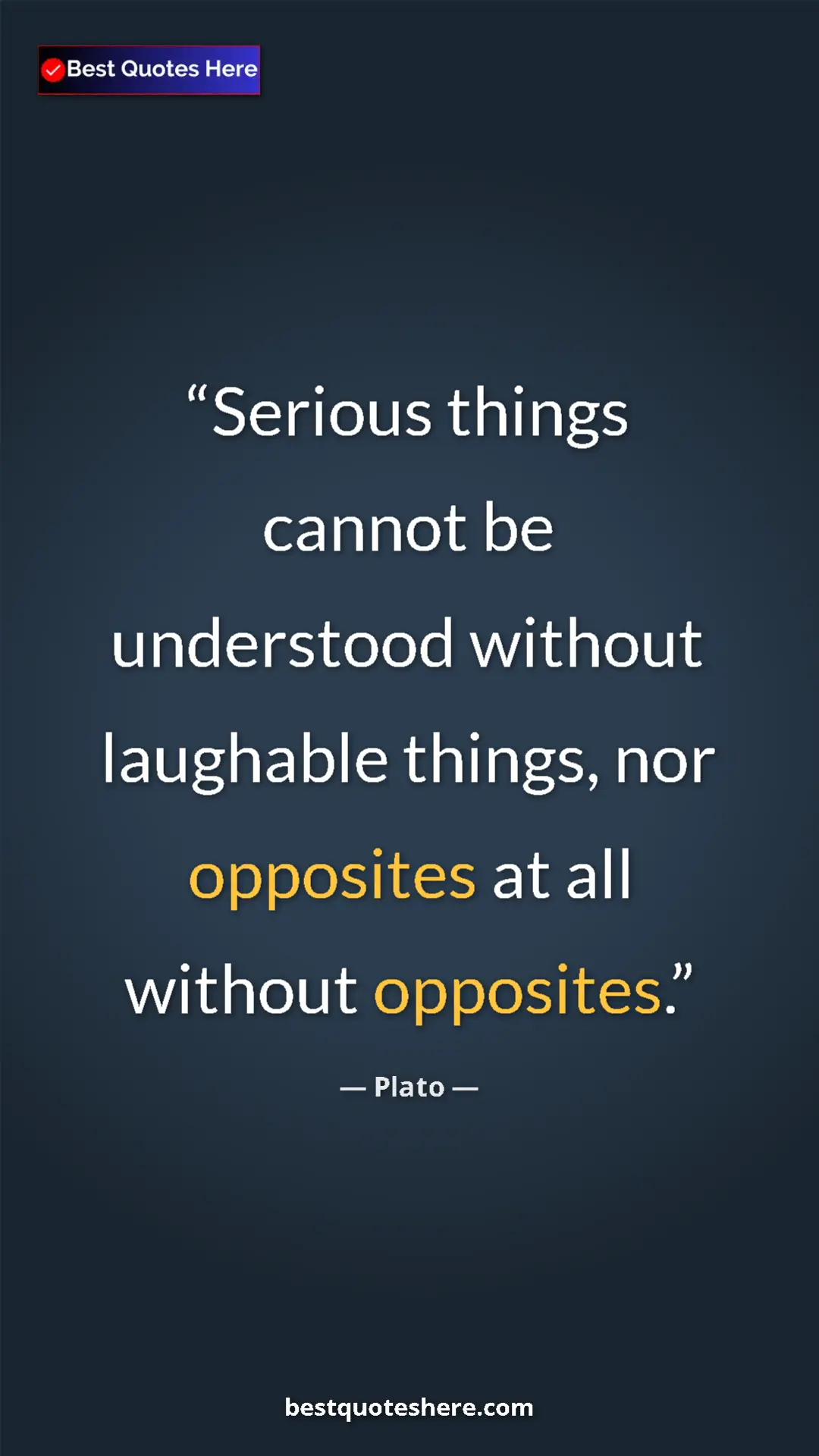 Pinterest quote poster by Plato: "Serious things cannot be understood without laughable..."
