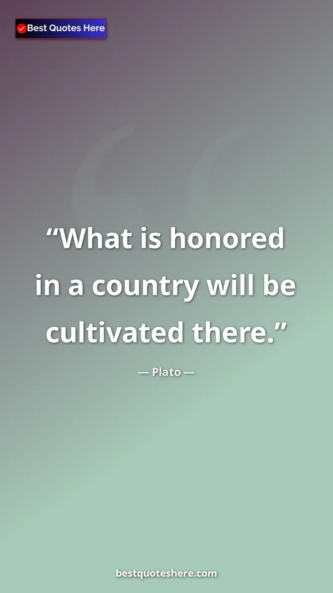 Pinterest quote poster by Plato: "What is honored in a country will be cultivated there."