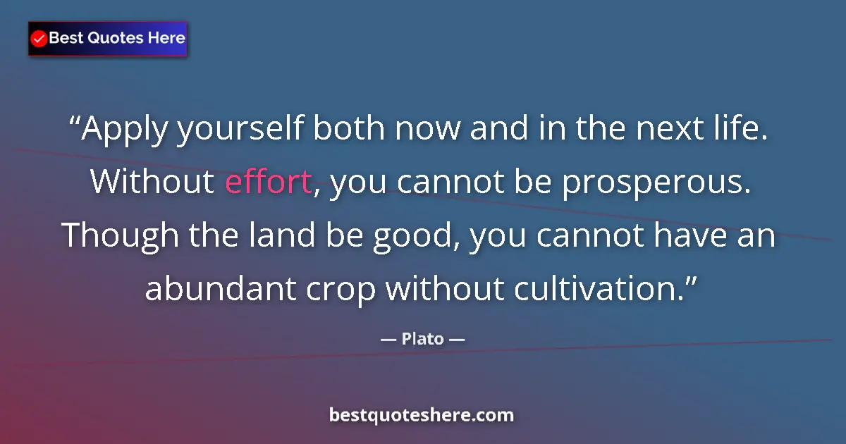 Plato quote: "Apply yourself both now and in the next life. Without..."