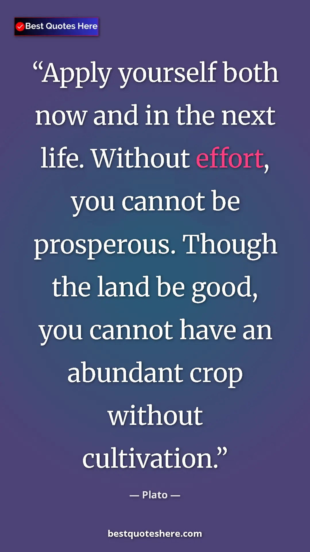 Pinterest quote poster by Plato: "Apply yourself both now and in the next life. Without..."