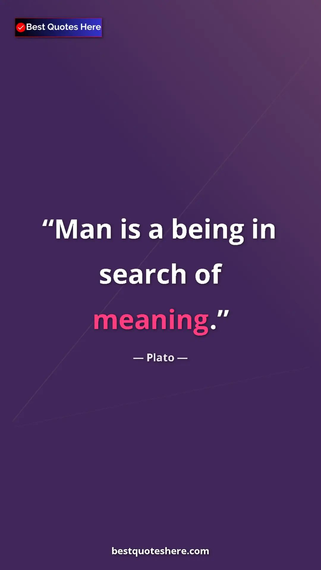 Pinterest quote poster by Plato: "Man is a being in search of meaning."