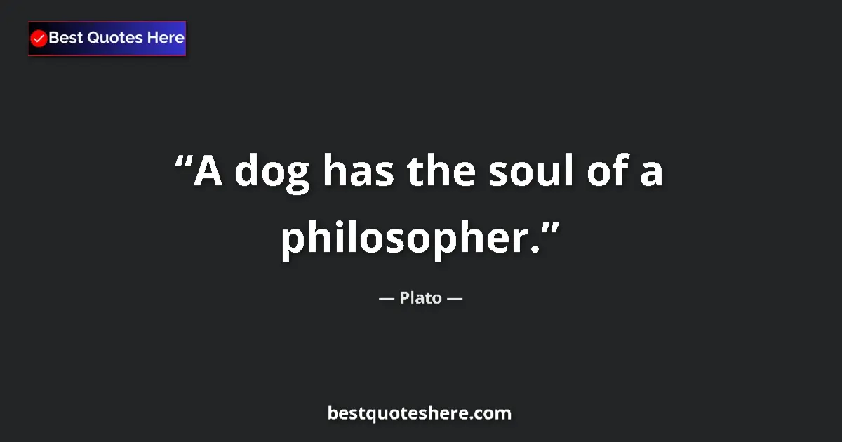 Quote by Plato: A dog has the soul of a philosopher....