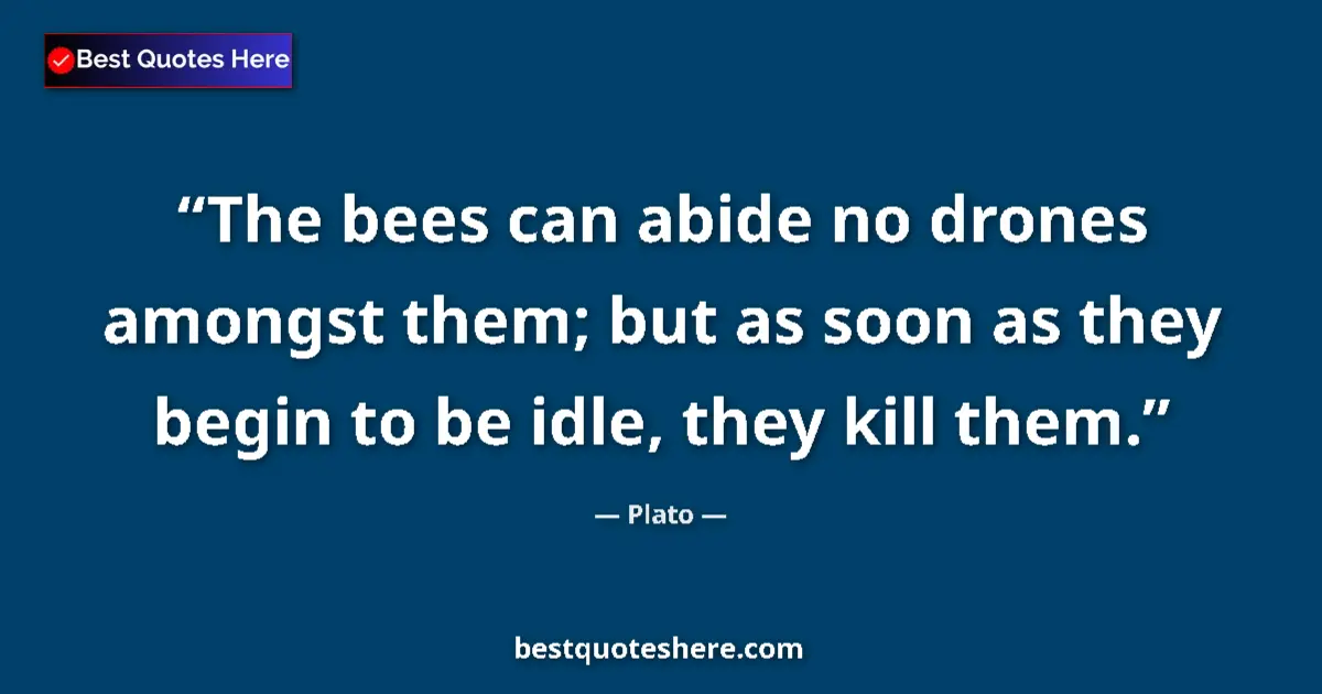 Quote by Plato: The bees can abide no drones amongst them; but as
