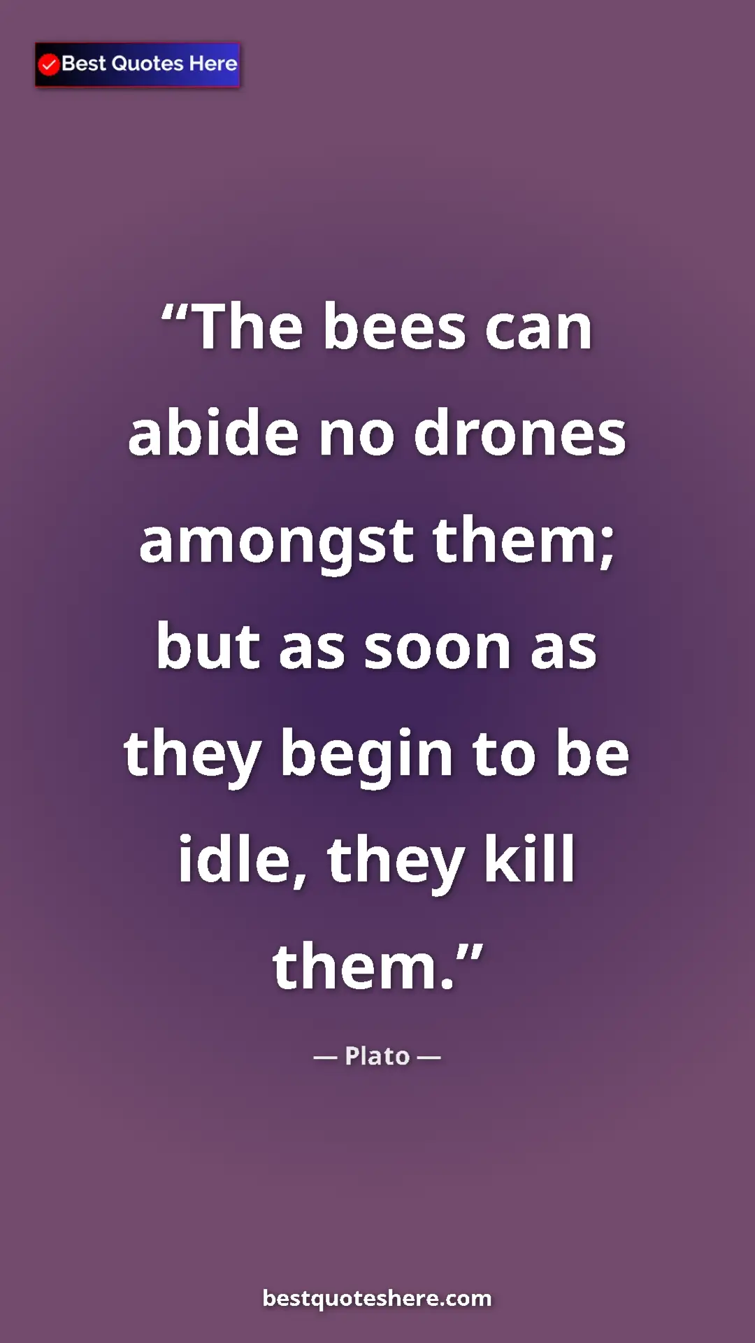 Pinterest quote poster by Plato: "The bees can abide no drones amongst them; but as soon as..."