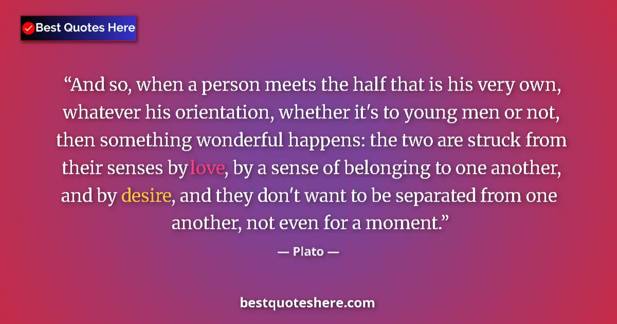 Quote by Plato: And so, when a person meets the half that is his v