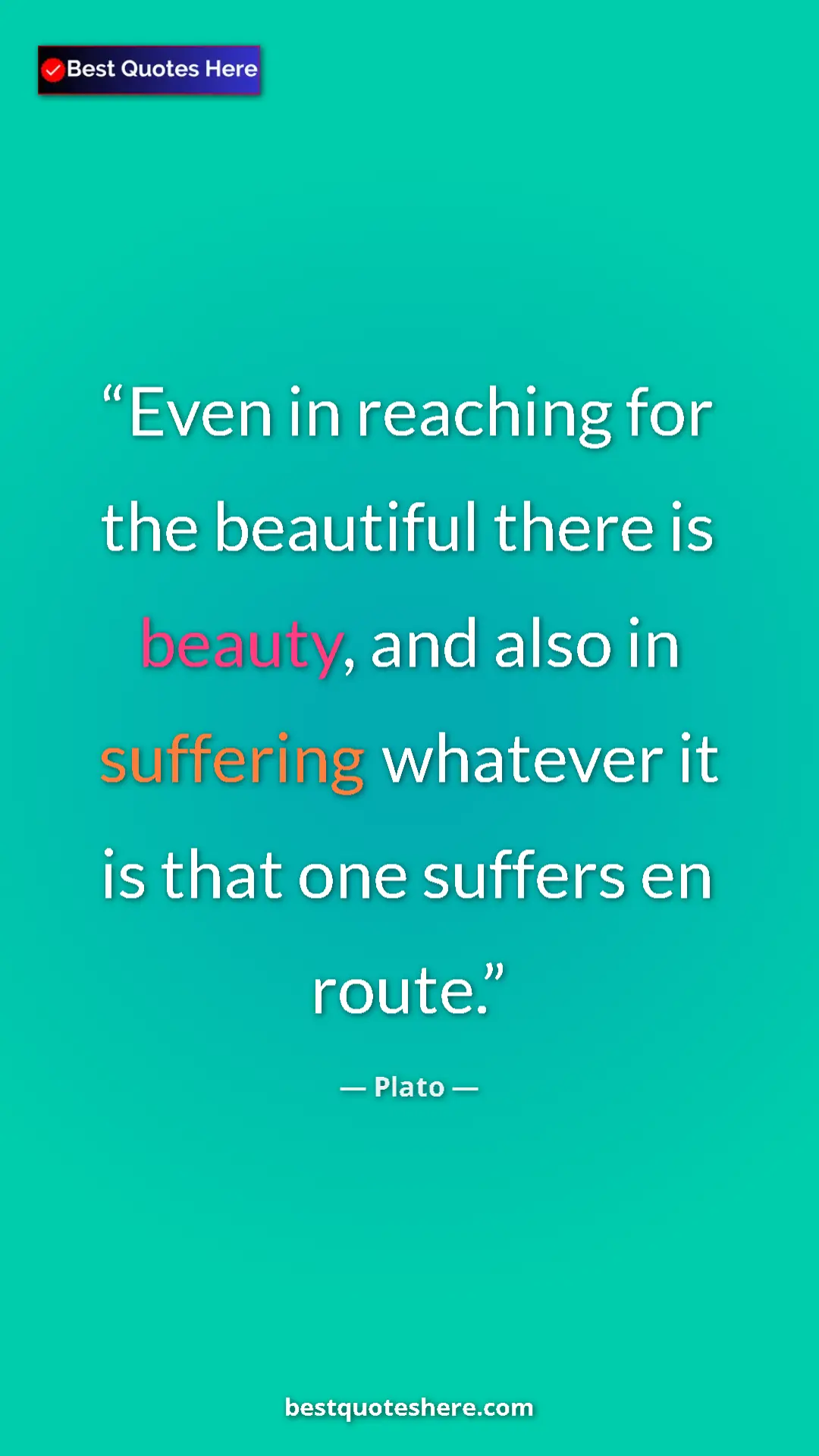 Pinterest quote poster by Plato: "Even in reaching for the beautiful there is beauty, and..."