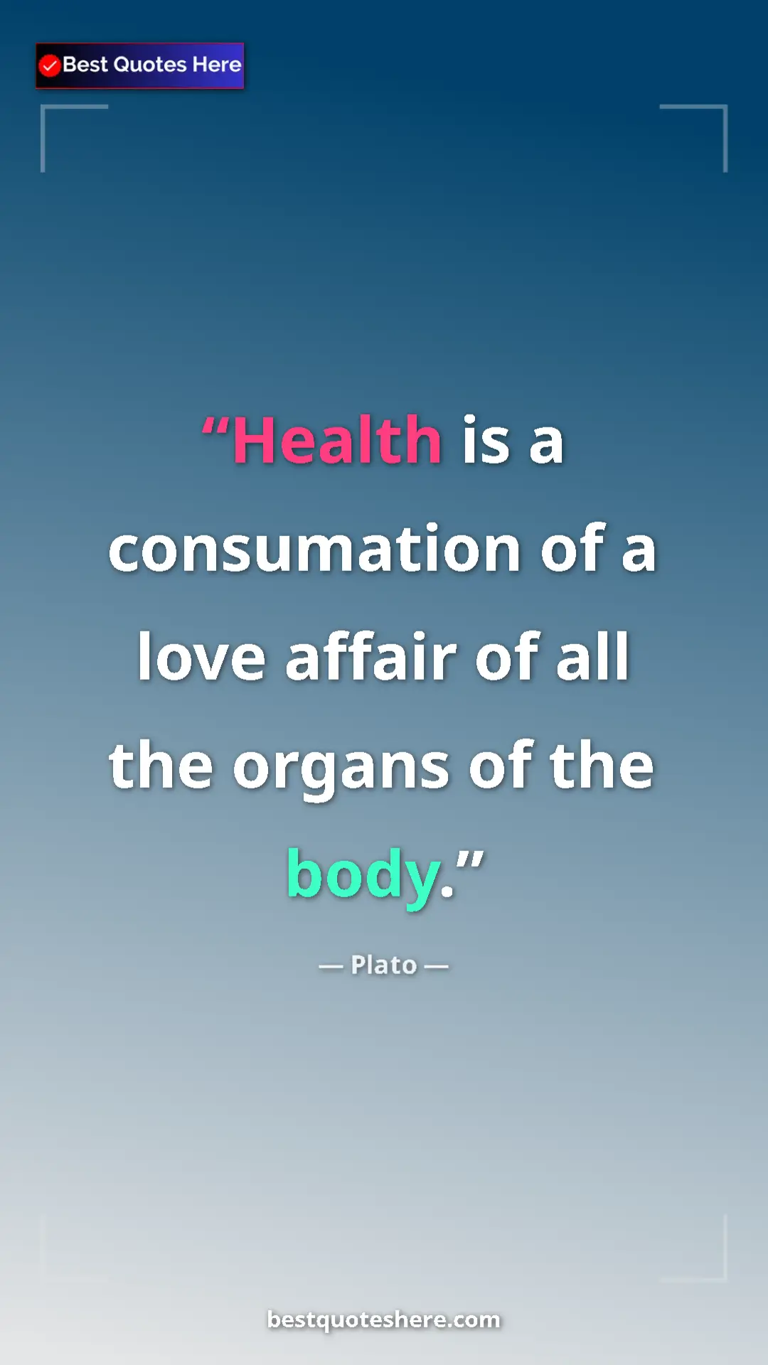 Pinterest quote poster by Plato: "Health is a consumation of a love affair of all the organs..."