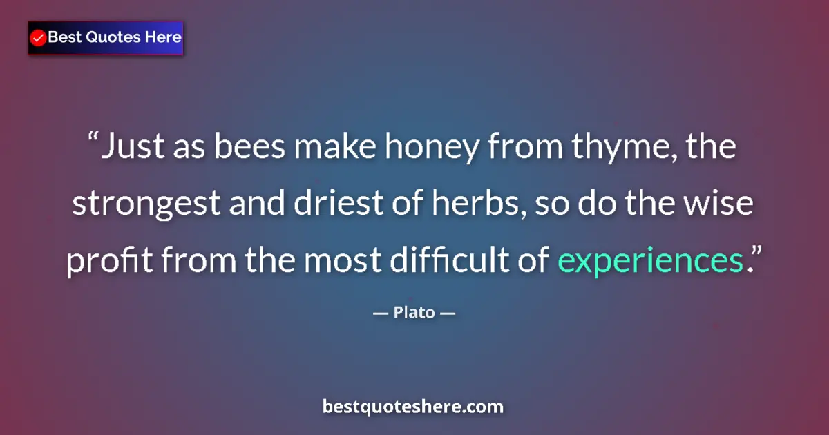 Plato quote: "Just as bees make honey from thyme, the strongest and..."