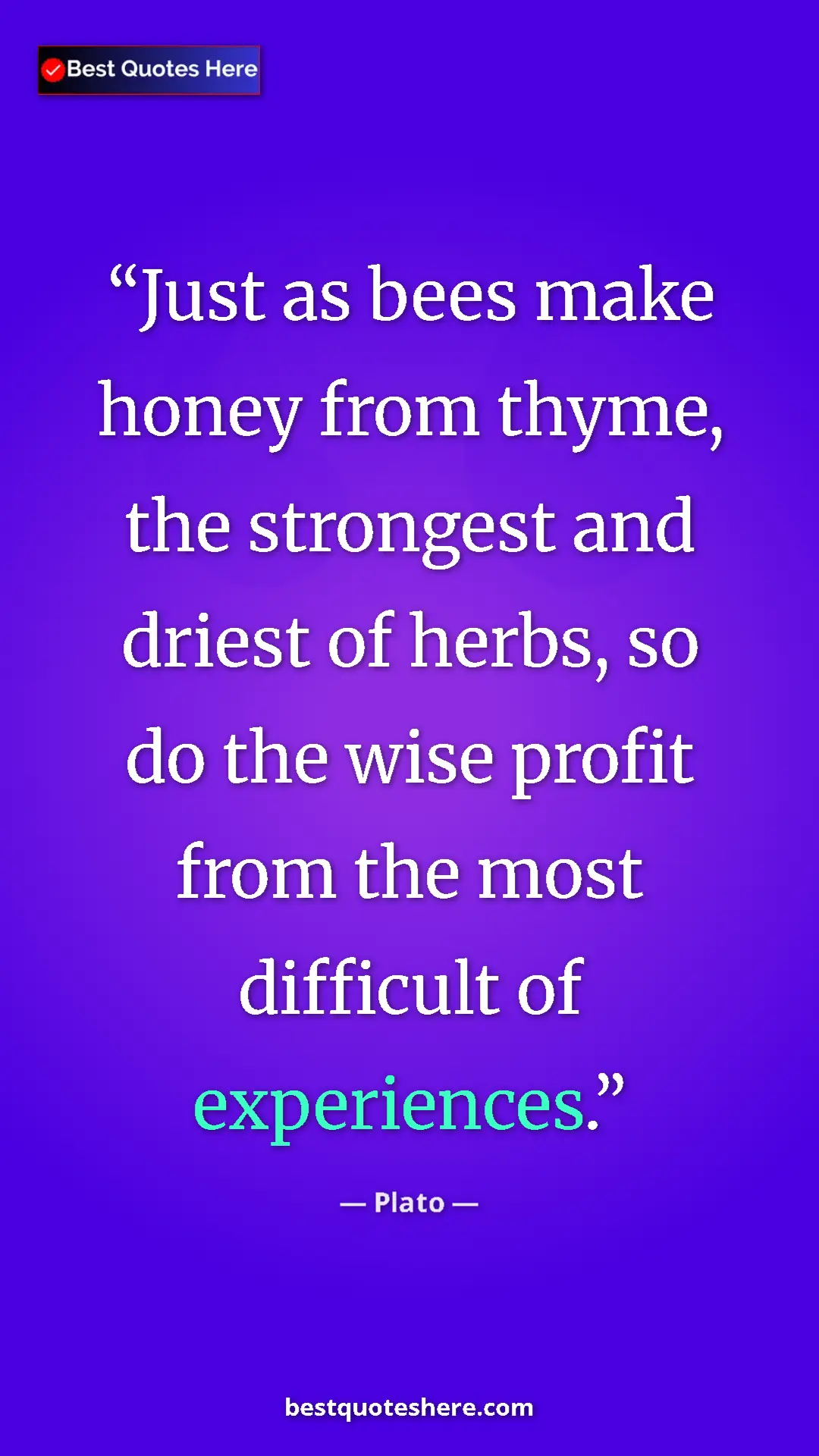 Pinterest quote poster by Plato: "Just as bees make honey from thyme, the strongest and..."