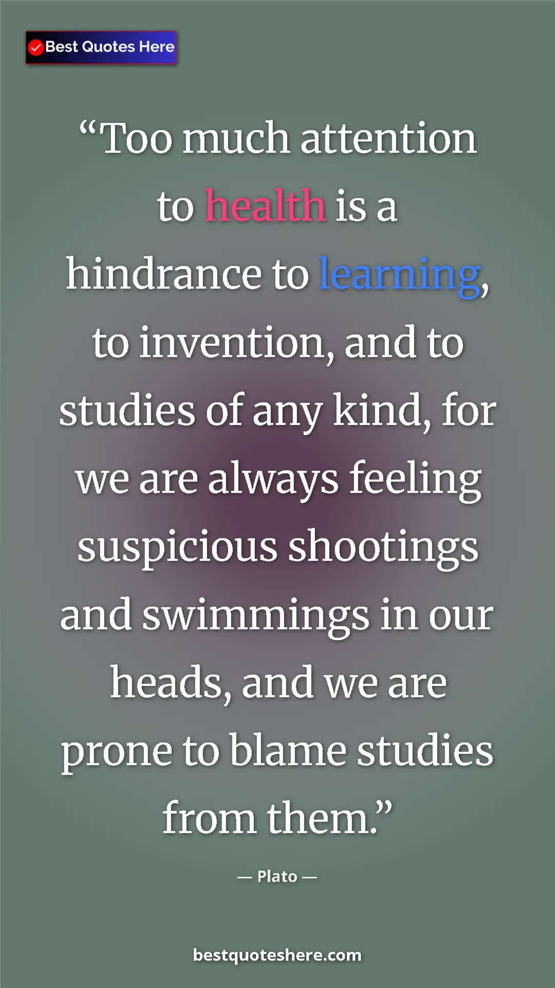 Pinterest quote poster by Plato: "Too much attention to health is a hindrance to learning, to..."