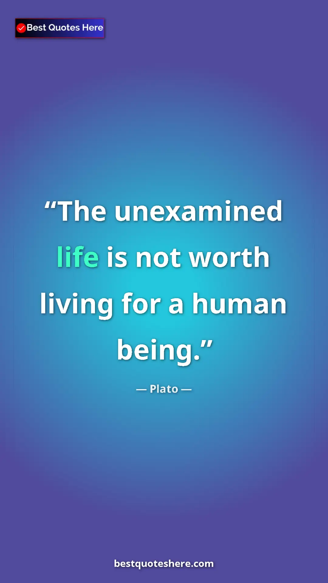 Pinterest quote poster by Plato: "The unexamined life is not worth living for a human being."