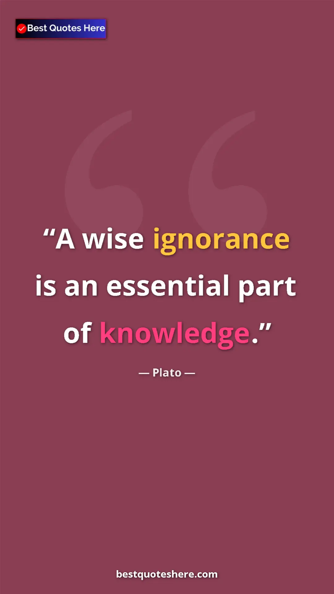 Pinterest quote poster by Plato: "A wise ignorance is an essential part of knowledge."