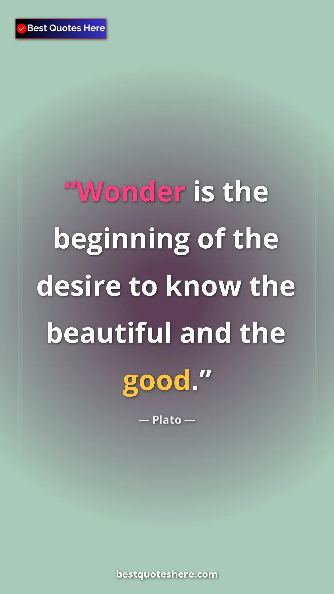 Pinterest quote poster by Plato: "Wonder is the beginning of the desire to know the beautiful..."
