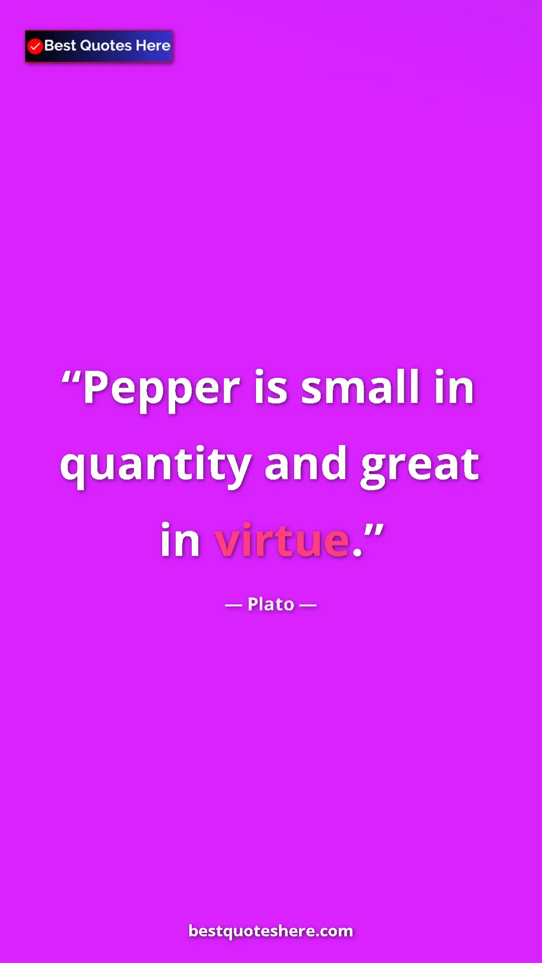 Pinterest quote poster by Plato: "Pepper is small in quantity and great in virtue."