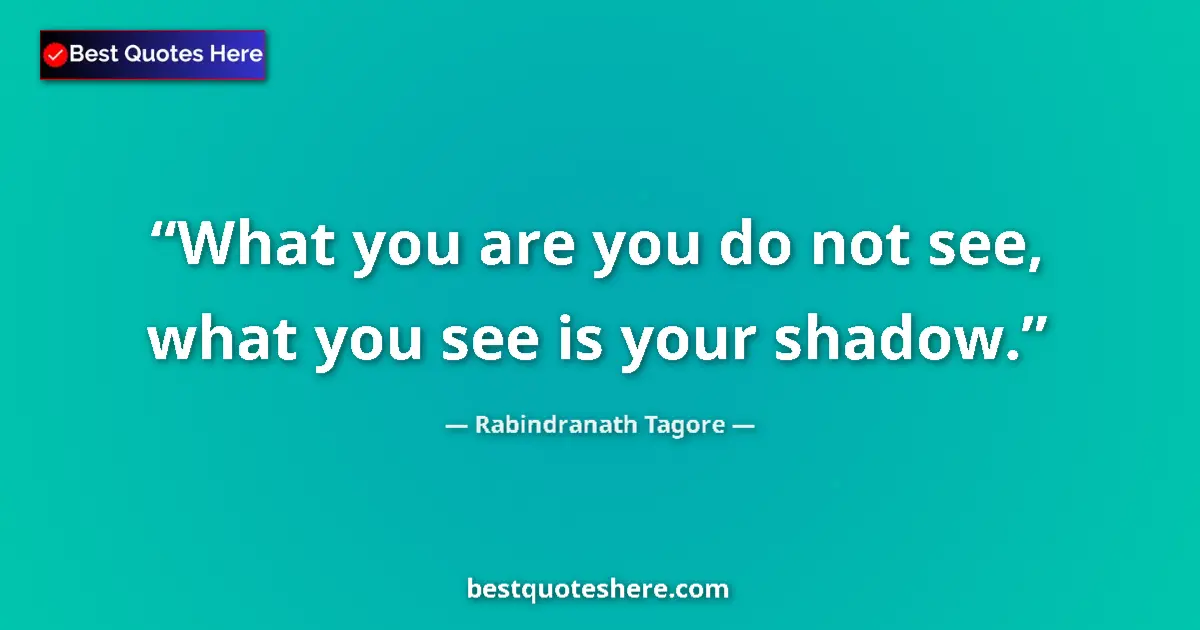 Quote by Rabindranath Tagore: What you are you do not see, what you see is your shadow....