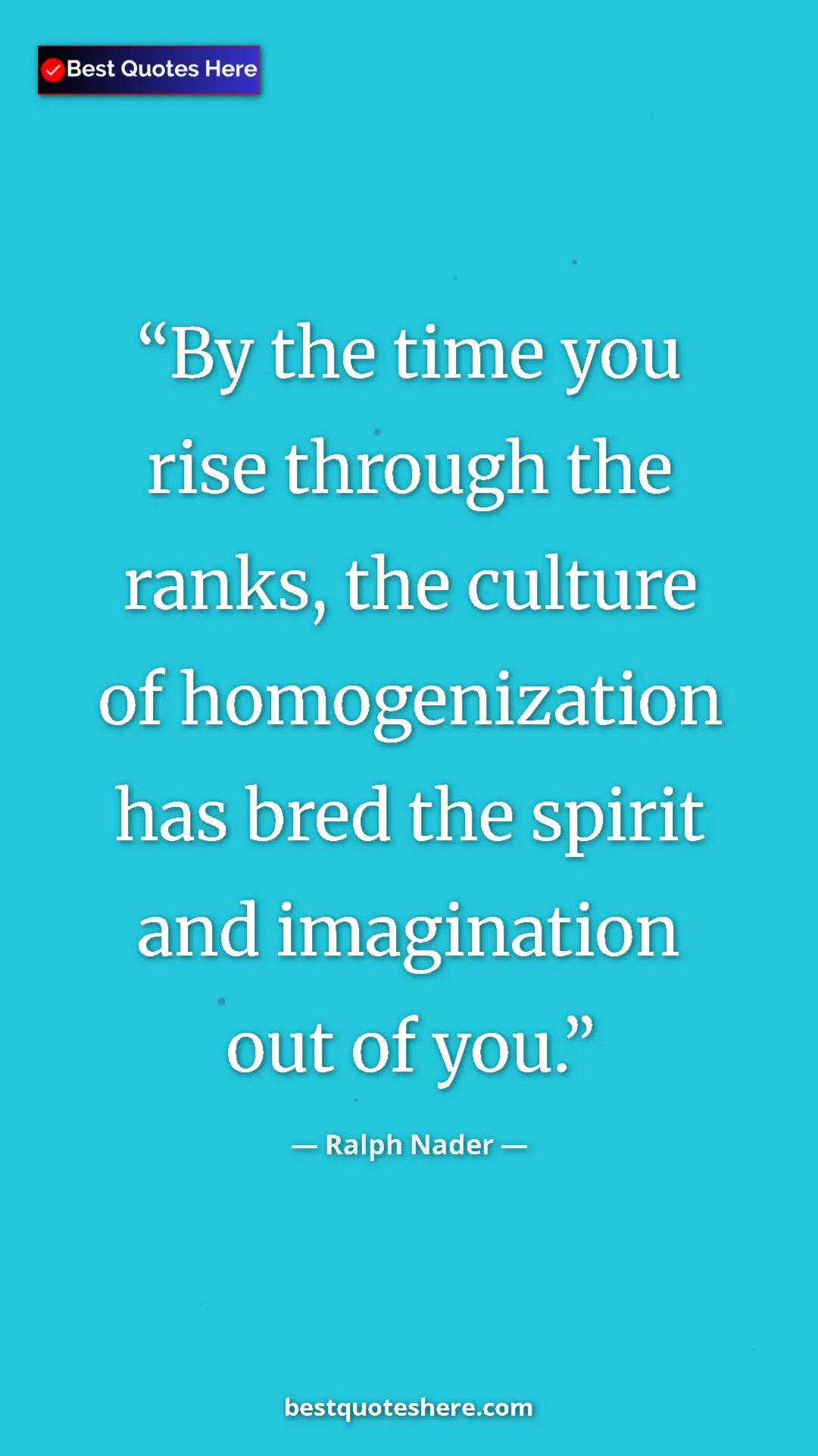 Ralph Nader Quote Card: "By the time you rise through the ranks, the culture of..." Pinterest quote poster by Ralph Nader: "By the time you rise through the ranks, the culture of..."