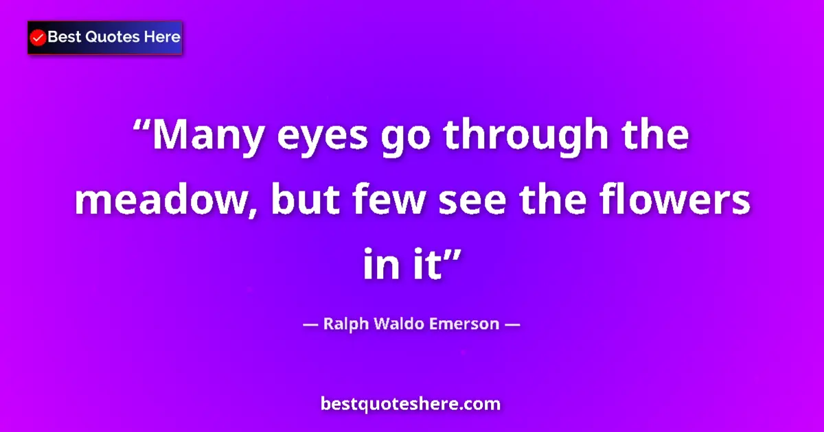 Quote by Ralph Waldo Emerson: Many eyes go through the meadow, but few see the f