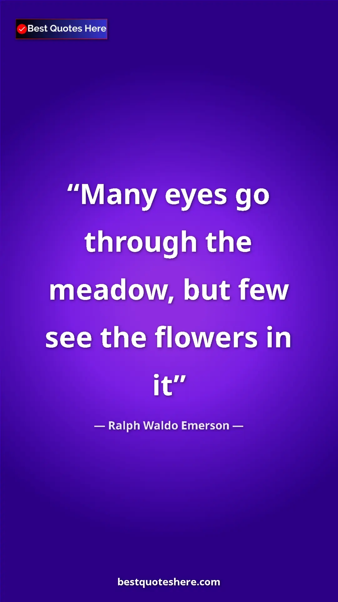 Ralph Waldo Emerson Quote Card: "Many eyes go through the meadow, but few see the flowers in..." Pinterest quote poster by Ralph Waldo Emerson: "Many eyes go through the meadow, but few see the flowers in..."