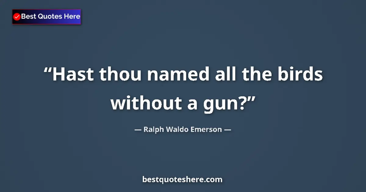 Ralph Waldo Emerson Quote: "Hast thou named all the birds without a gun?" Ralph Waldo Emerson quote: "Hast thou named all the birds without a gun?"