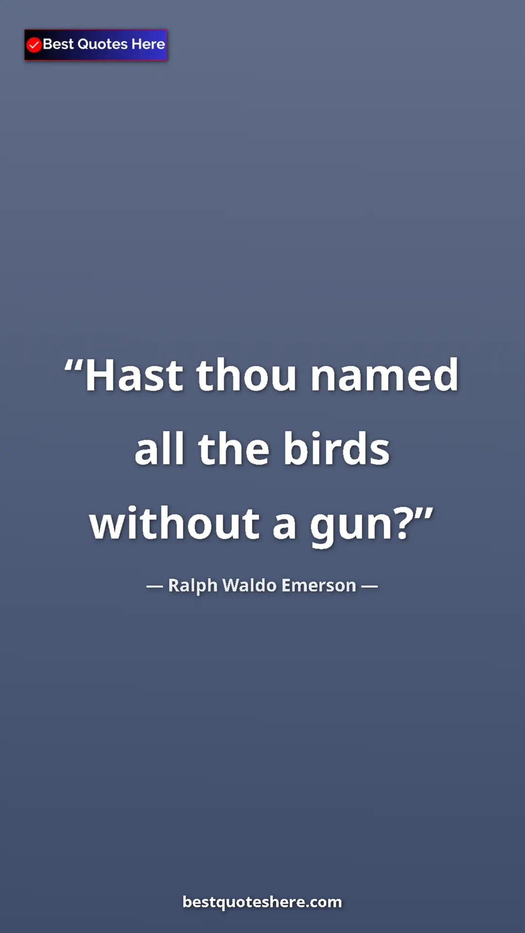 Ralph Waldo Emerson Quote Card: "Hast thou named all the birds without a gun?" Pinterest quote poster by Ralph Waldo Emerson: "Hast thou named all the birds without a gun?"