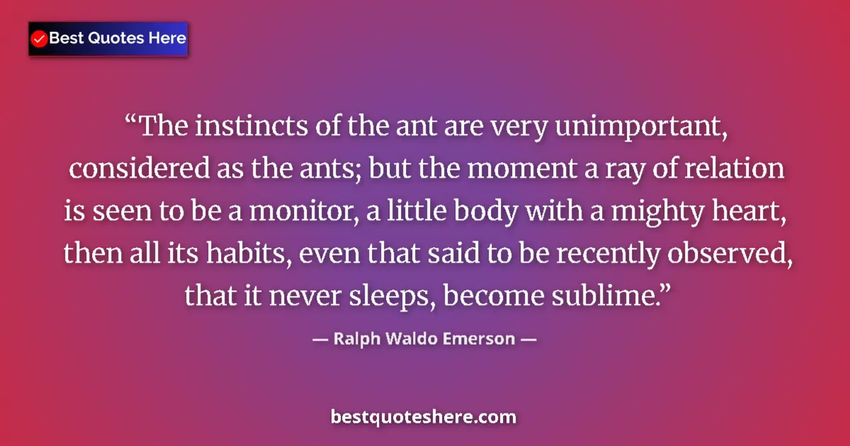 Image for the quote by Ralph Waldo Emerson: The instincts of the ant are very unimportant, considered as the ants; but the moment a ray of relat...