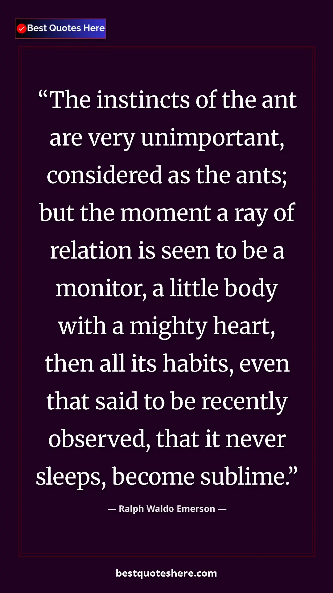 Ralph Waldo Emerson Quote Card: "The instincts of the ant are very unimportant, considered..." Pinterest quote poster by Ralph Waldo Emerson: "The instincts of the ant are very unimportant, considered..."