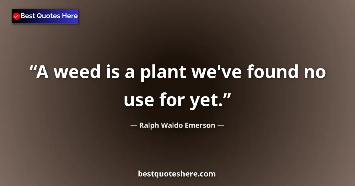 Quote by Ralph Waldo Emerson: A weed is a plant we've found no use for yet....