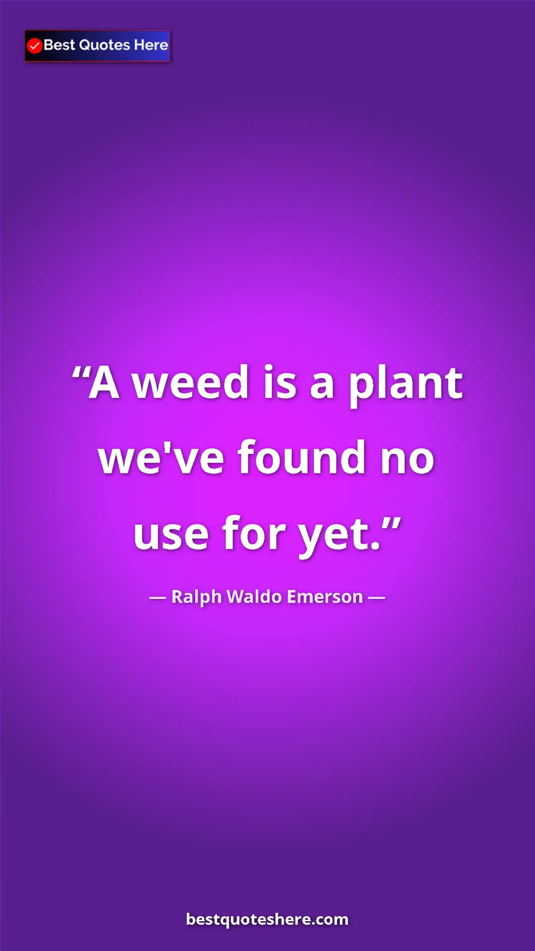 Pinterest quote poster by Ralph Waldo Emerson: "A weed is a plant we've found no use for yet."