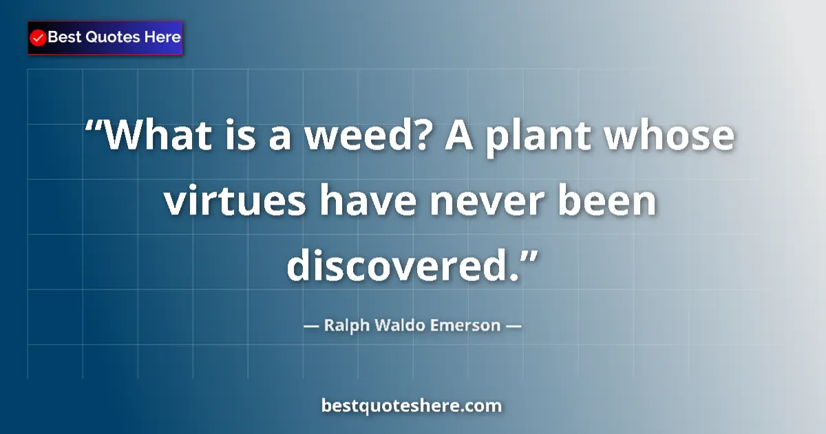 Image for the quote by Ralph Waldo Emerson: What is a weed? A plant whose virtues have never been discovered....