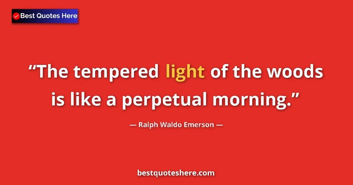 Quote by Ralph Waldo Emerson: The tempered light of the woods is like a perpetual morning....