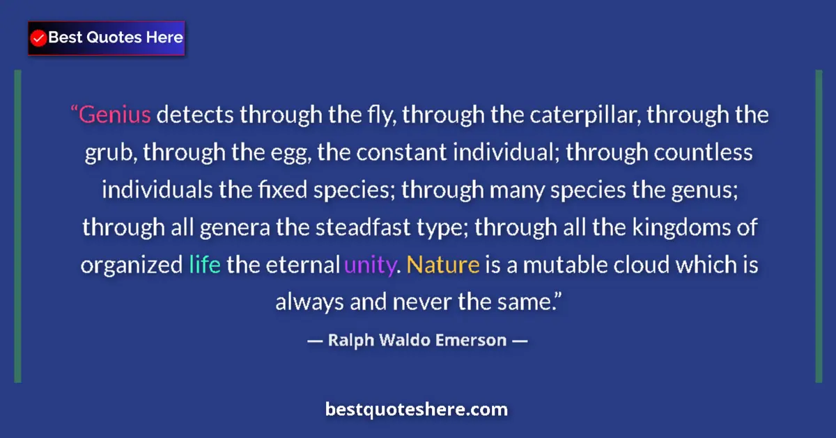 Ralph Waldo Emerson Quote: "Genius detects through the fly, through the caterpillar,..." Ralph Waldo Emerson quote: "Genius detects through the fly, through the caterpillar,..."