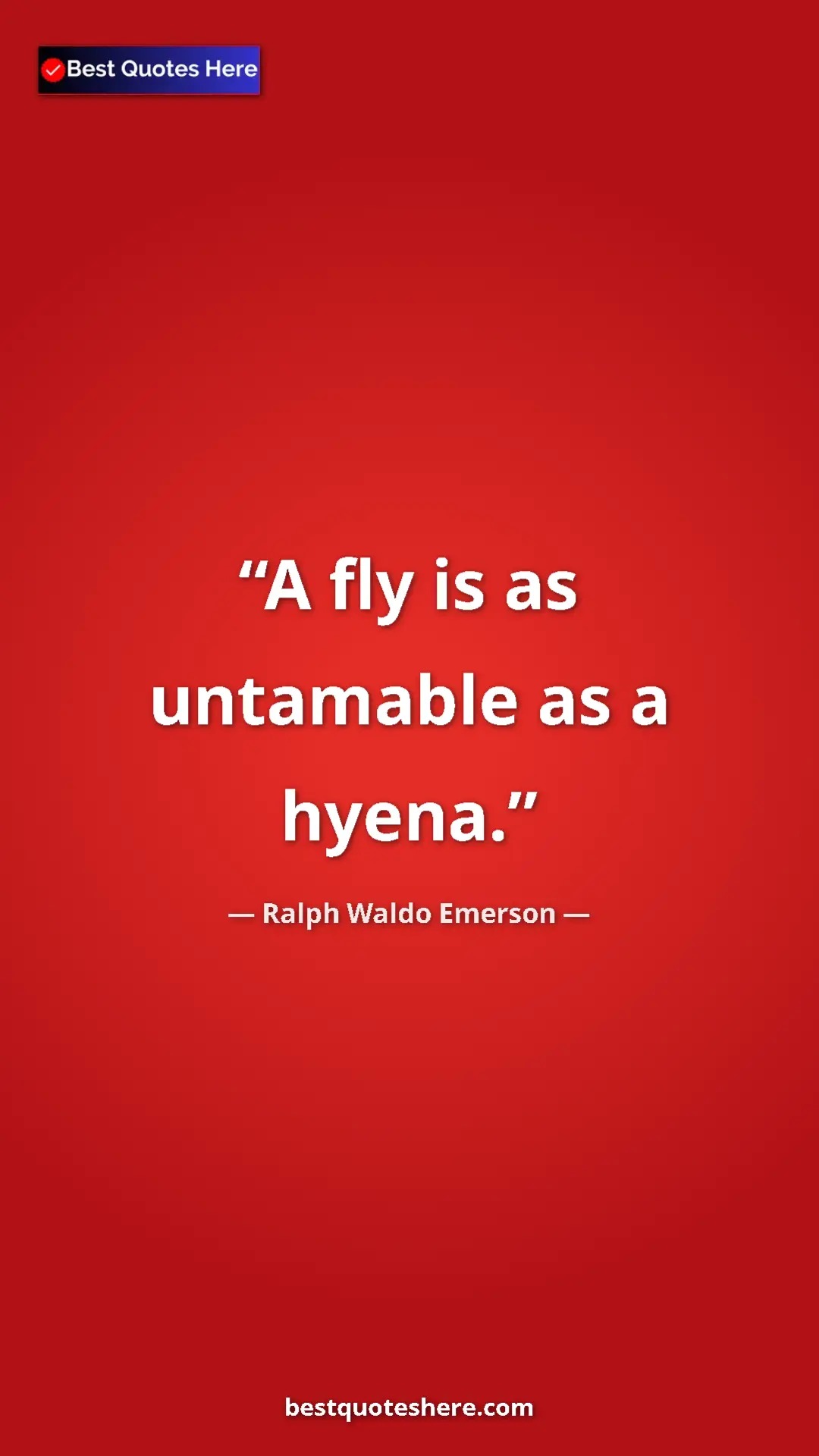 Pinterest quote poster by Ralph Waldo Emerson: "A fly is as untamable as a hyena."