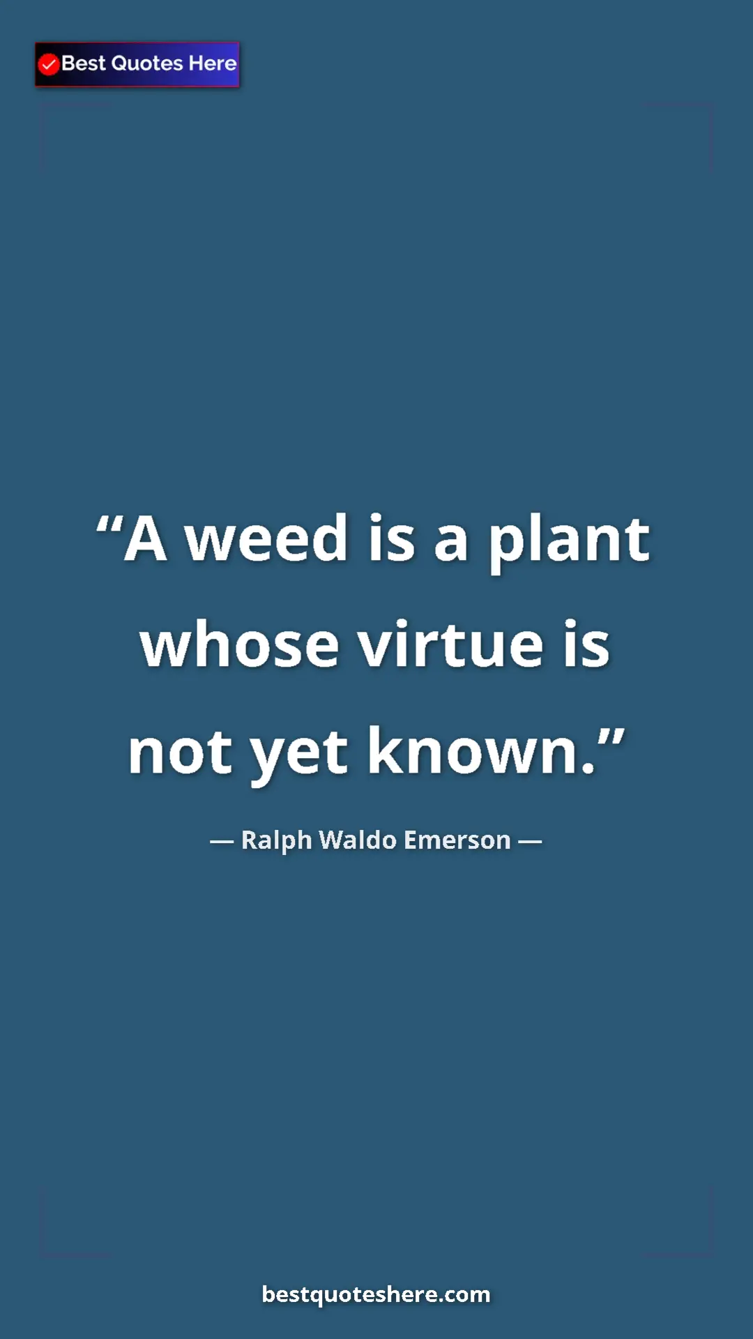 Ralph Waldo Emerson Quote Card: "A weed is a plant whose virtue is not yet known." Pinterest quote poster by Ralph Waldo Emerson: "A weed is a plant whose virtue is not yet known."