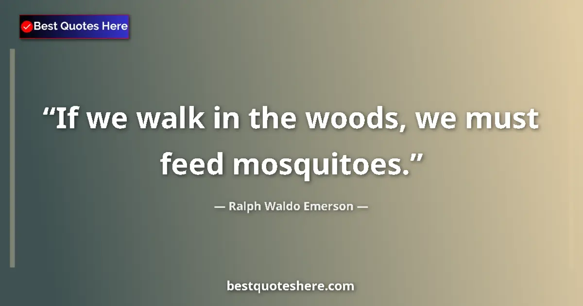 Quote by Ralph Waldo Emerson: If we walk in the woods, we must feed mosquitoes....