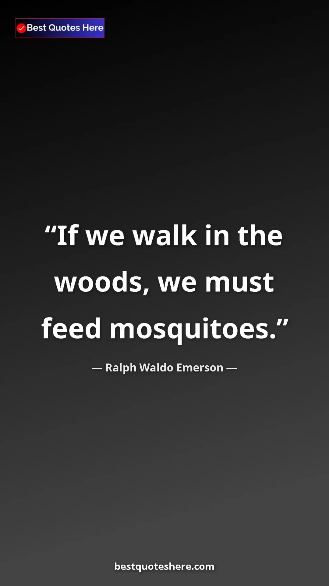Ralph Waldo Emerson Quote Card: "If we walk in the woods, we must feed mosquitoes." Pinterest quote poster by Ralph Waldo Emerson: "If we walk in the woods, we must feed mosquitoes."
