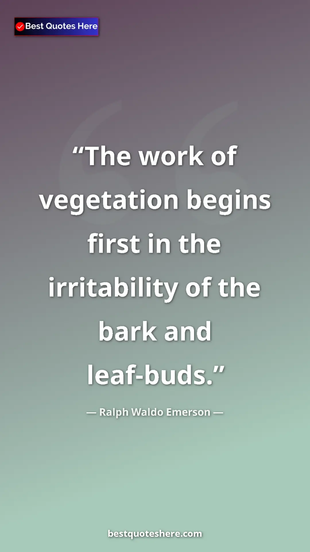 Pinterest quote poster by Ralph Waldo Emerson: "The work of vegetation begins first in the irritability of t"