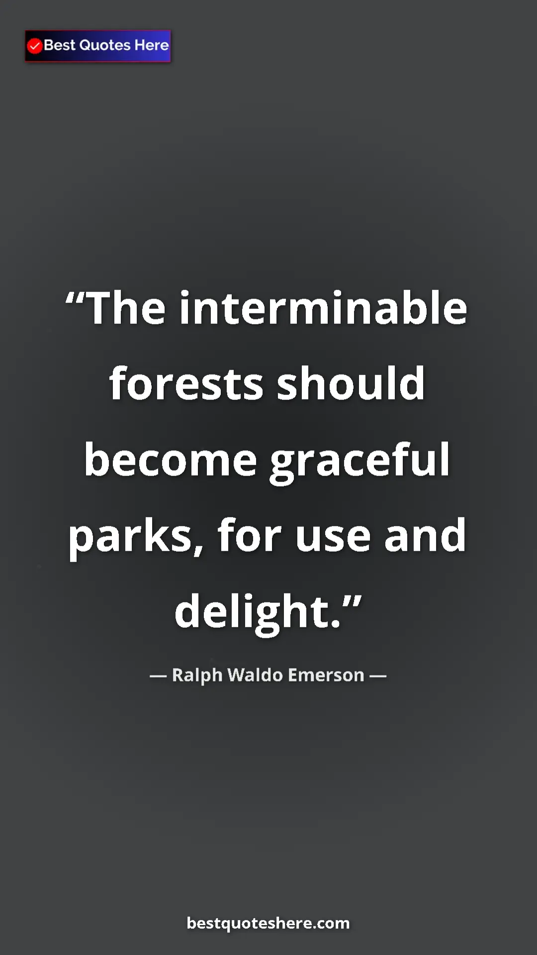 Pinterest quote poster by Ralph Waldo Emerson: "The interminable forests should become graceful parks, for..."