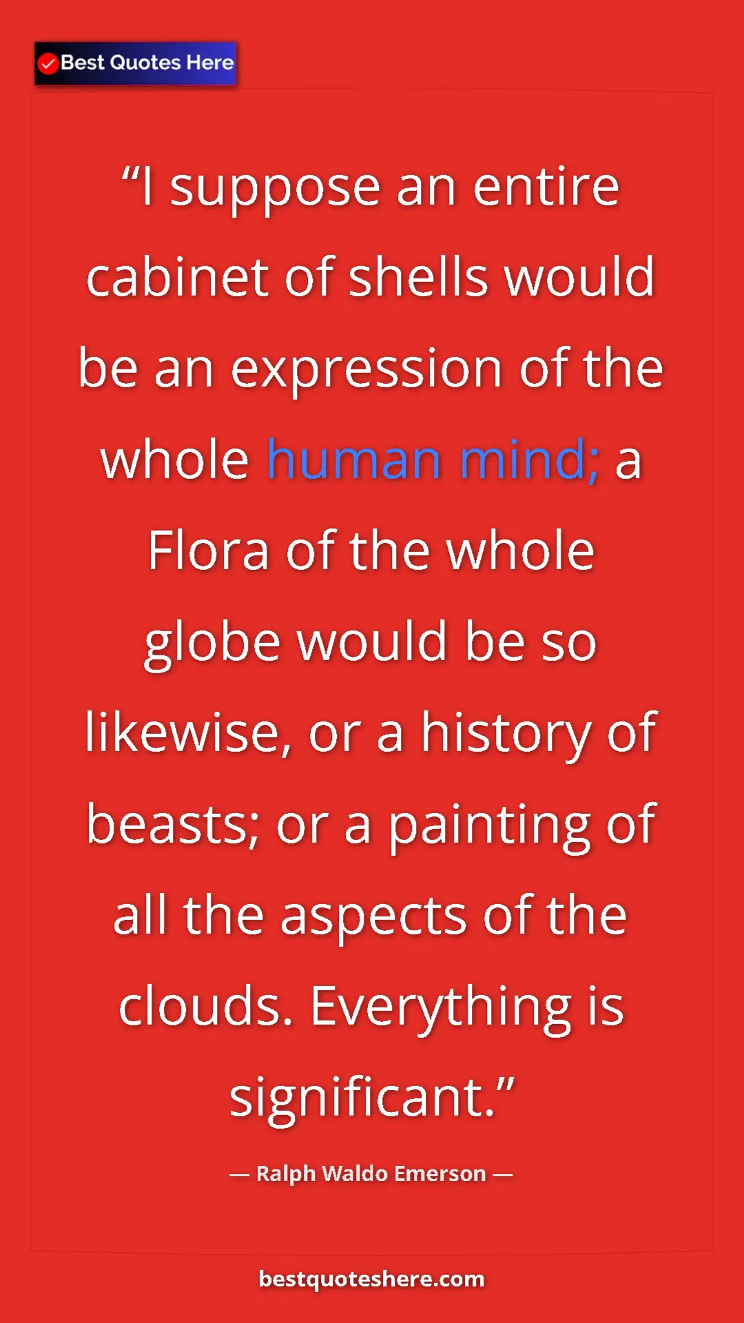 Pinterest quote poster by Ralph Waldo Emerson: "I suppose an entire cabinet of shells would be an expression"