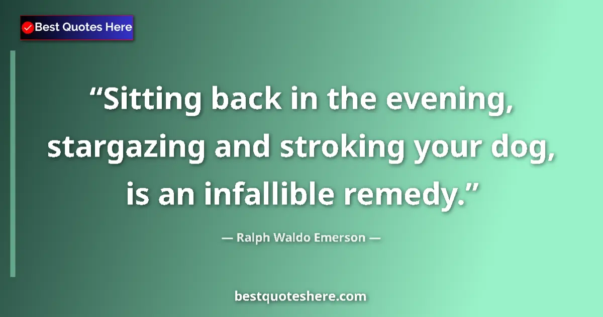 Quote by Ralph Waldo Emerson: Sitting back in the evening, stargazing and stroking your dog, is an infallible remedy....