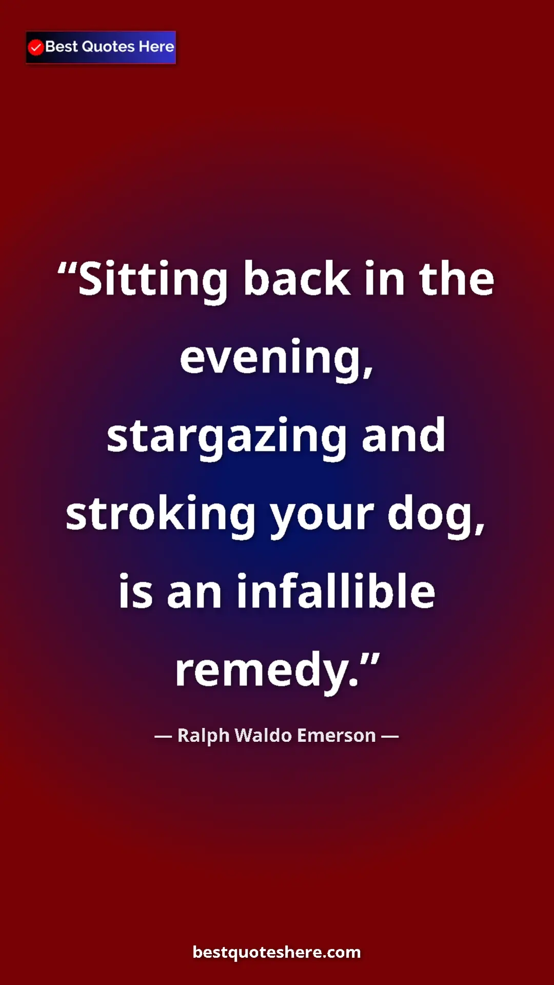Ralph Waldo Emerson Quote Card: "Sitting back in the evening, stargazing and stroking your..." Pinterest quote poster by Ralph Waldo Emerson: "Sitting back in the evening, stargazing and stroking your..."