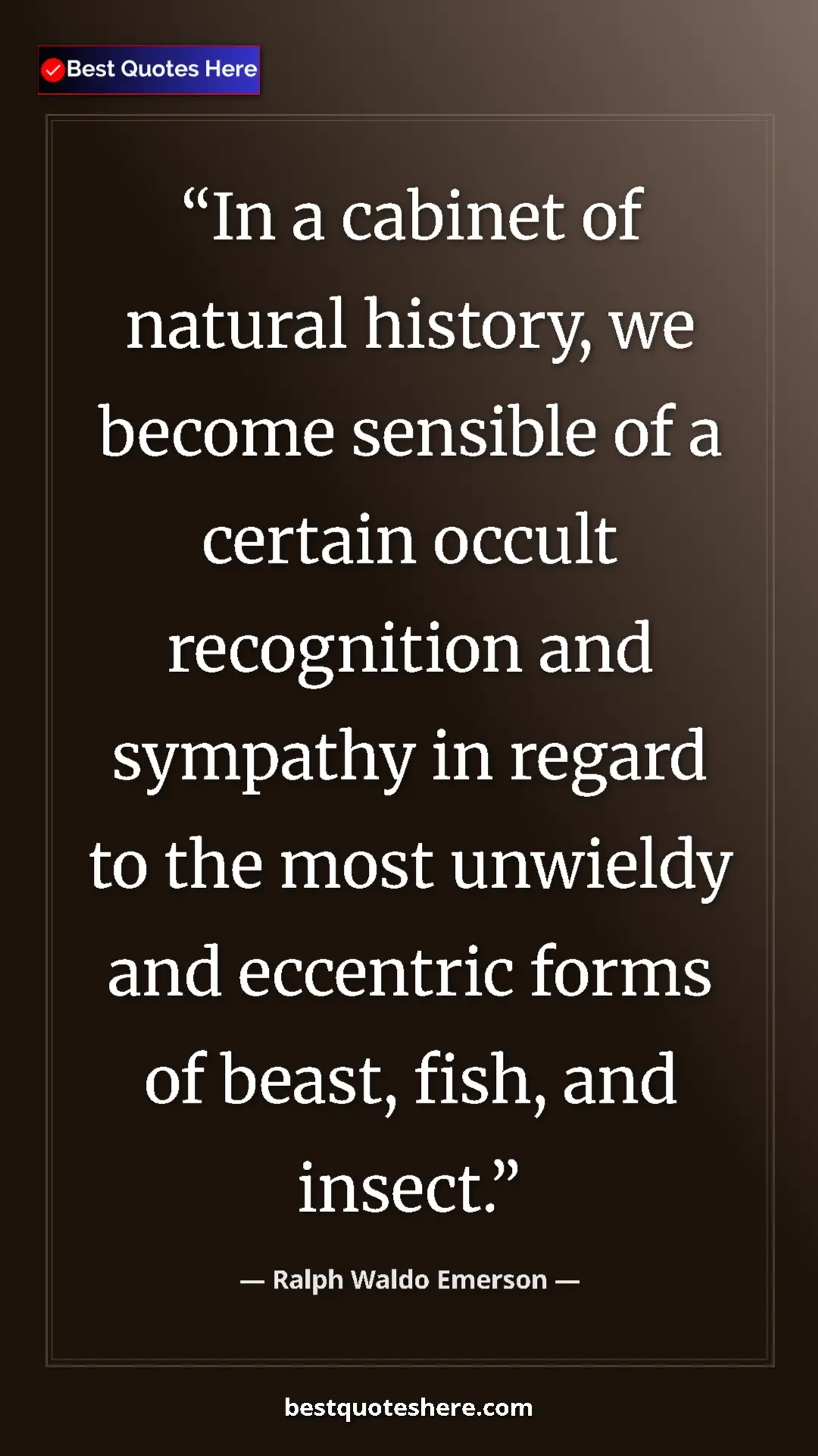 Pinterest quote poster by Ralph Waldo Emerson: "In a cabinet of natural history, we become sensible of a..."